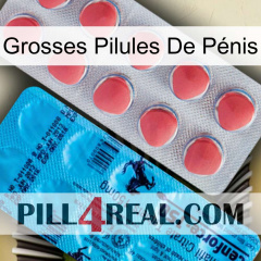 Grosses Pilules De Pénis new14